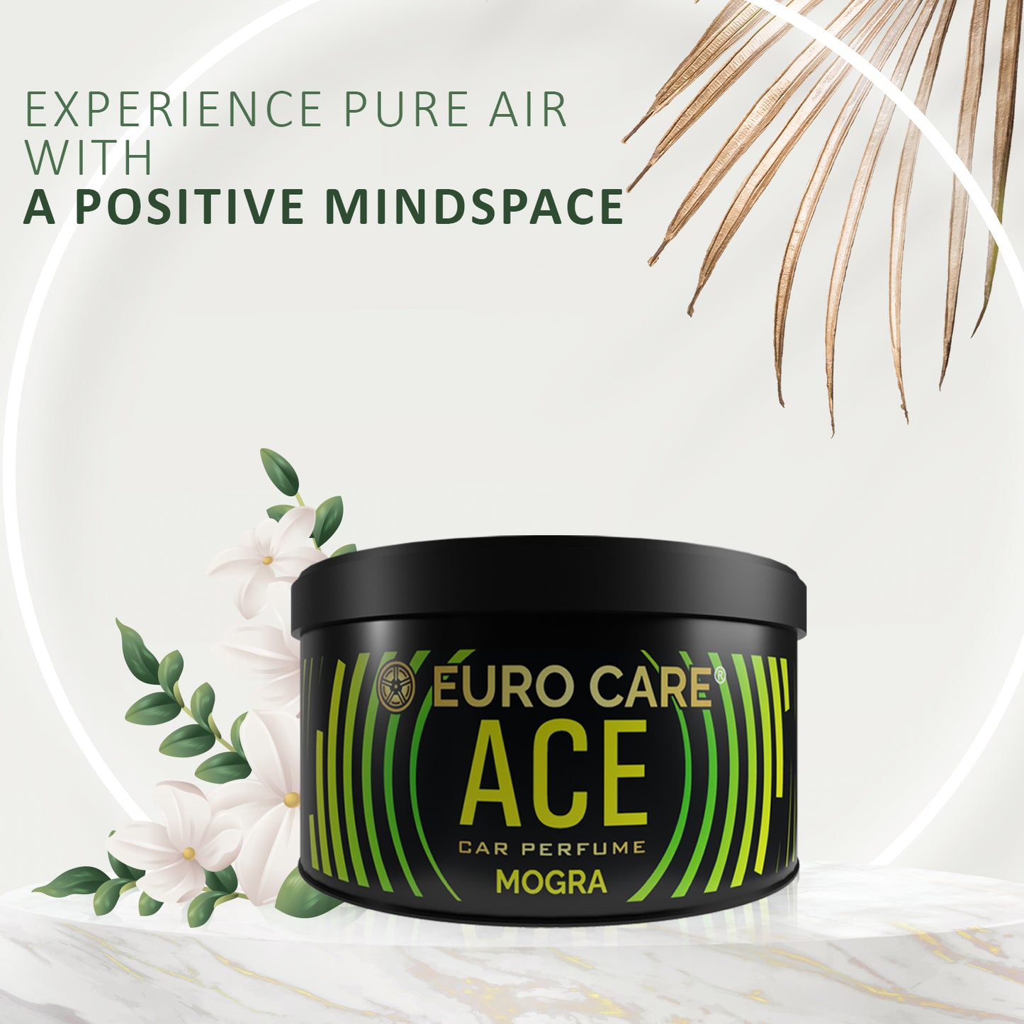 Euro Care Car Air Freshener with Essential Oils Fragrance in Wooden Diffuser (60 G)