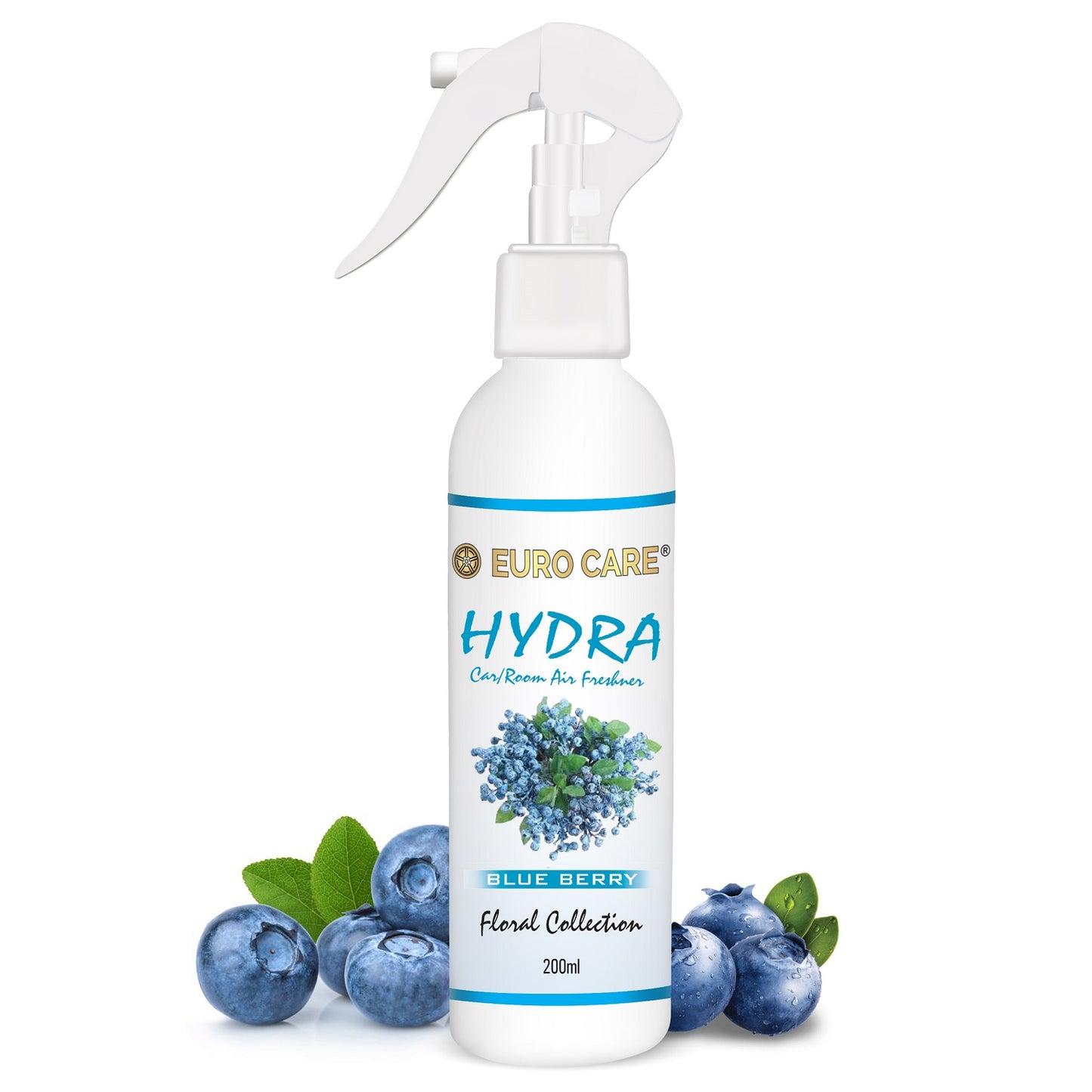 #model_blue-berry