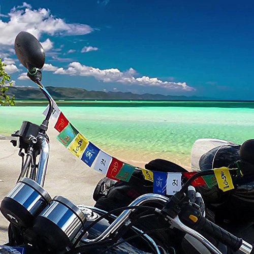 Tibetan Flag For Bike