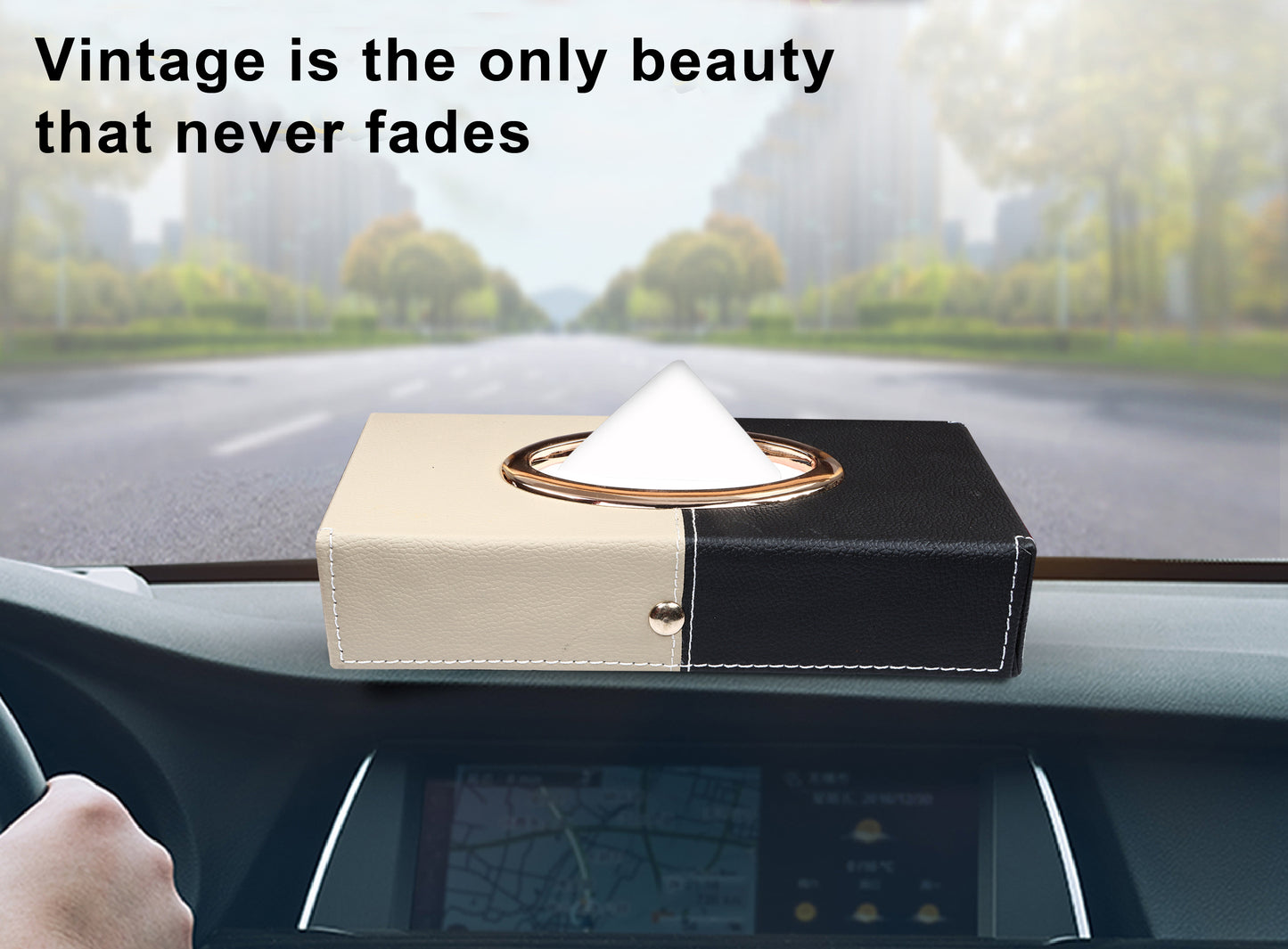 Auto Hub Leather Car Tissue Holder Box for Car, Home, Office with 100 Tissue Pulls - Chrome -Beige-Black