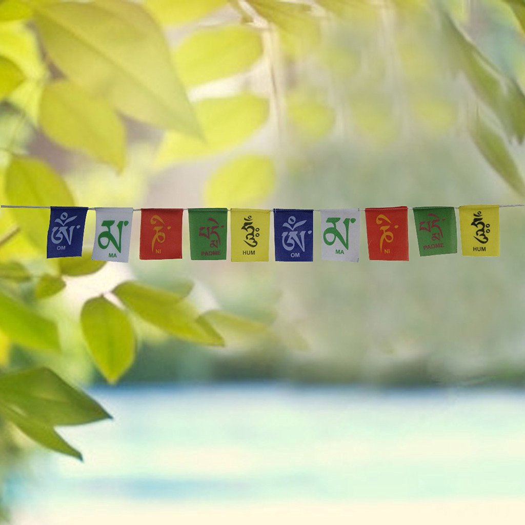 Tibetan Flag For Bike